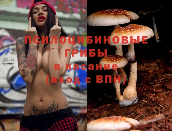 гидра Армянск