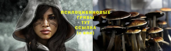 гидра Армянск