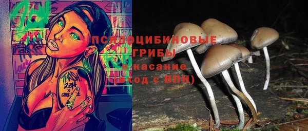 соль ск Аркадак