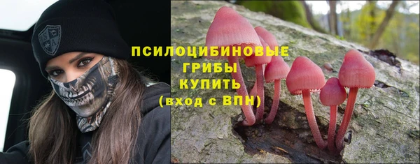 прущие крисы Алзамай