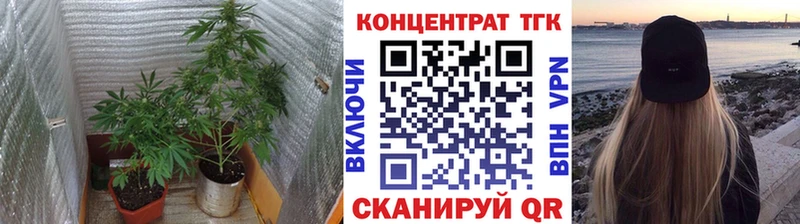kraken сайт  Нея  Дистиллят ТГК концентрат 
